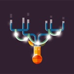 Rudolf Xmas Light Displays