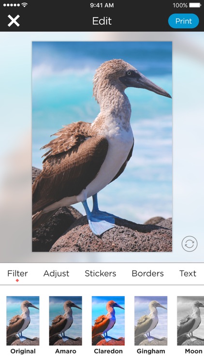 Polaroid Zip screenshot-4