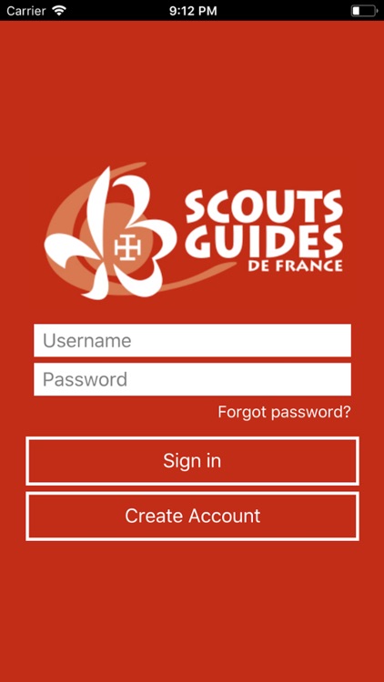 Scouts et Guides de France