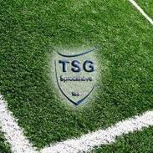 TSG Sprockhövel Fussball icon