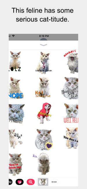 Pompous Albert - Cat Stickers(圖2)-速報App