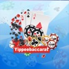 YippeeBaccarat-Classic Fun