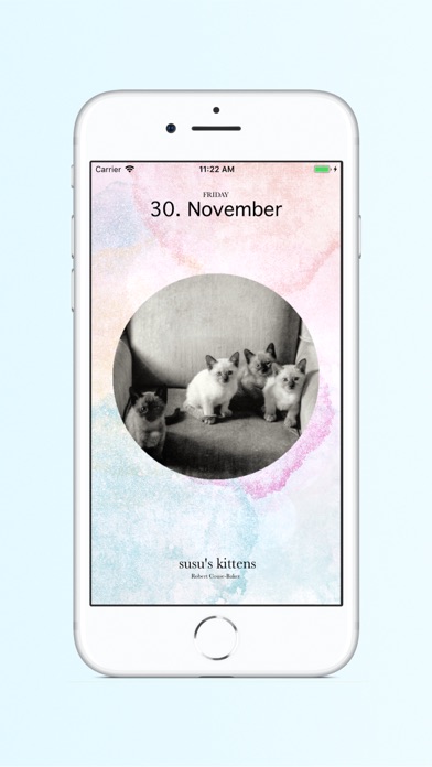 Cat Calendar 2019 screenshot 2