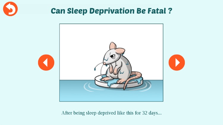 CityHacks: In Search of Sleep