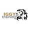 IggyTraining