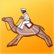 Activities of Camel Racing at the fairground
