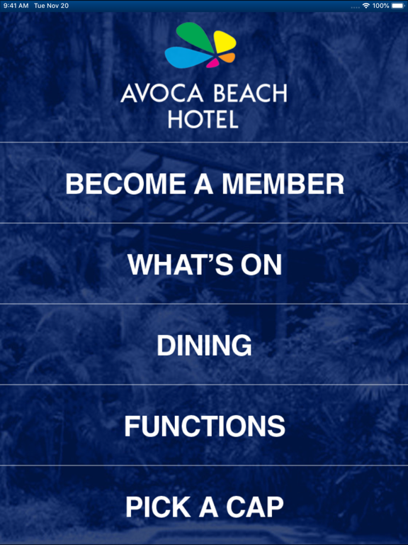Avoca Beach Hotel screenshot 2