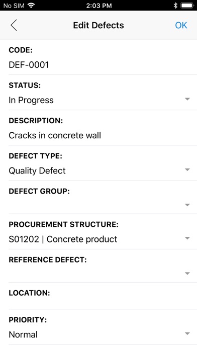 iTWO 4.0 Defect Management screenshot 3
