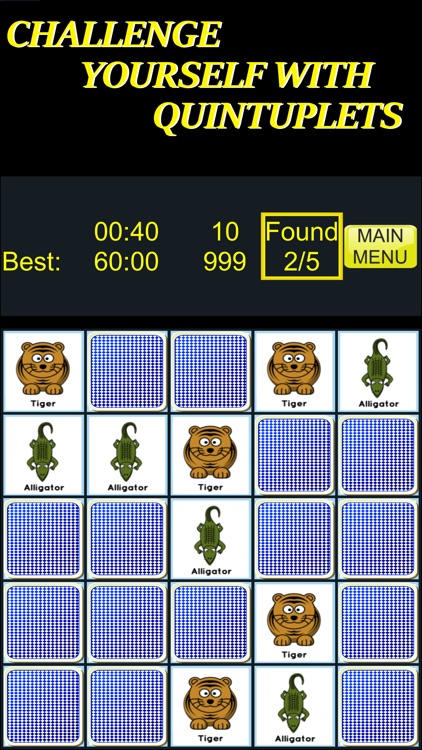 Pairs and More Matching Game screenshot-3