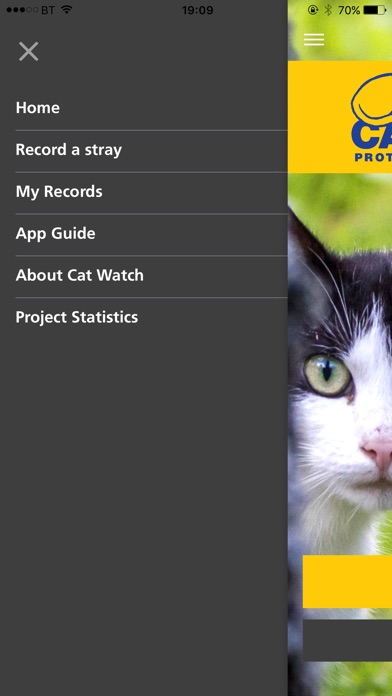 Cat Watch screenshot 4