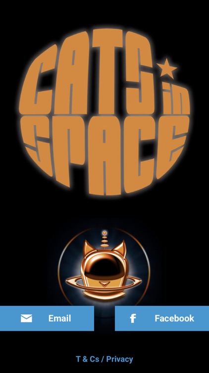 Cats in Space