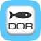 The Fishing Dorset app - more than just a venue finder