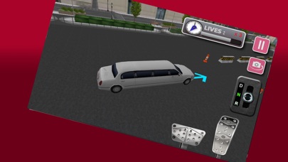Luxury Limousine Parking Driver screenshot 3