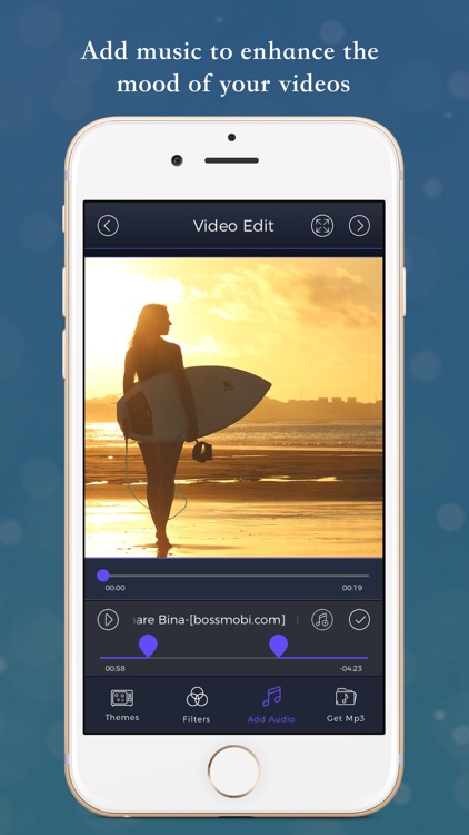 VistaVideo - Video Editor