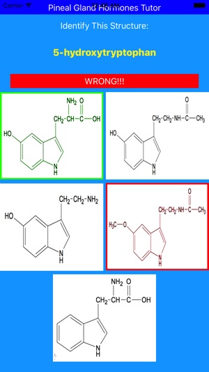 Pineal Gland Hormones Tutor(圖2)-速報App