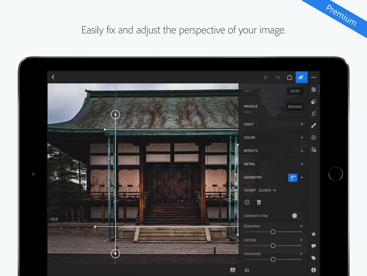 Adobe Lightroom CC for iPad screenshot-5