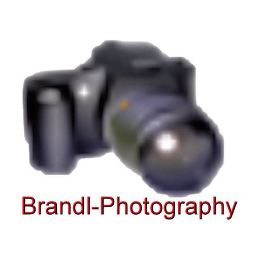 Brandl Photography