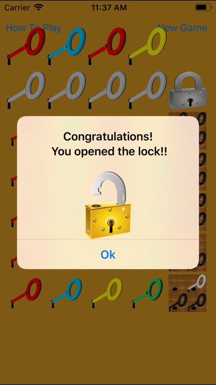 Unlock it with right Keys screenshot-3