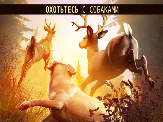 Скачать Deer Hunter 2018™