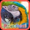 Icon Wild Animal Preschool Games
