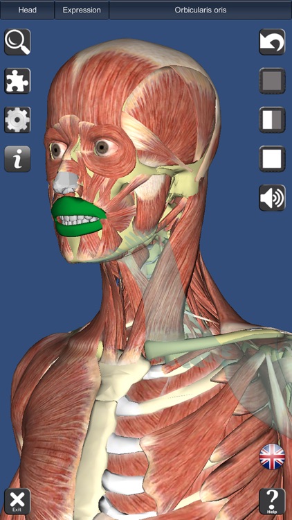 Visual Muscles 3D screenshot-4