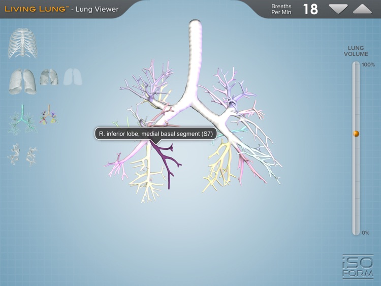 Living Lung™ - Lung Viewer screenshot-4