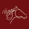 The Nags Head Hotel App keeps all its Guests up-to-date on: 