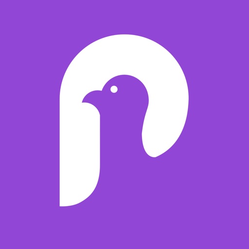 Pigeon - NYC Subway Transit