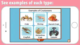 Game screenshot Animal Kingdom (Invertebrates) hack