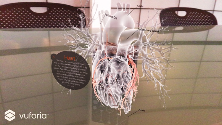 AnatomyAR+ for Merge Cube screenshot-3