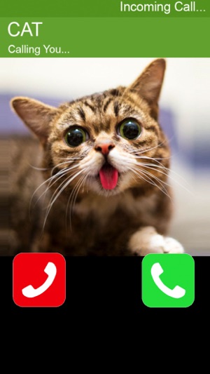 Call Cat 2(圖3)-速報App