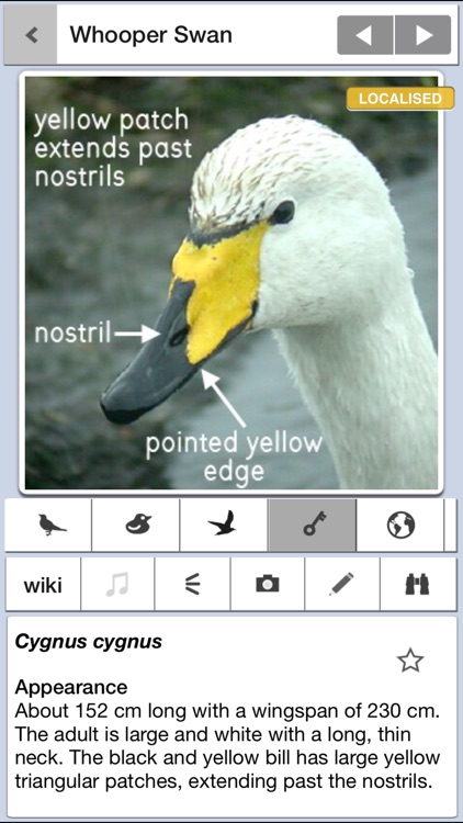 Birds of Britain Pro