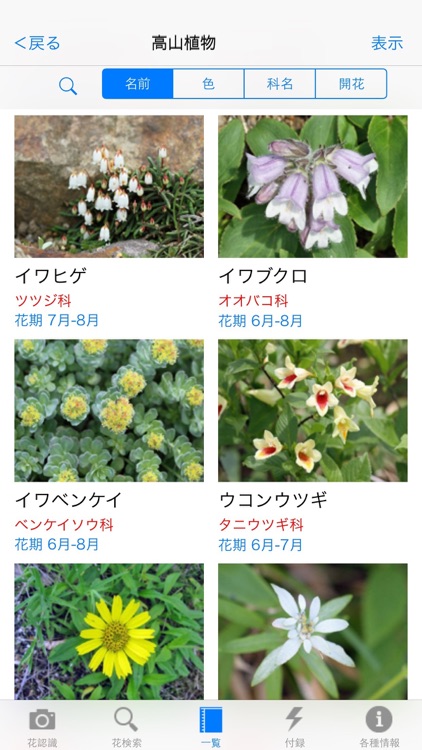 花しらべ 花認識/花検索