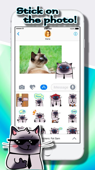 How to cancel & delete Cat Stickers: Fat Sam from iphone & ipad 4