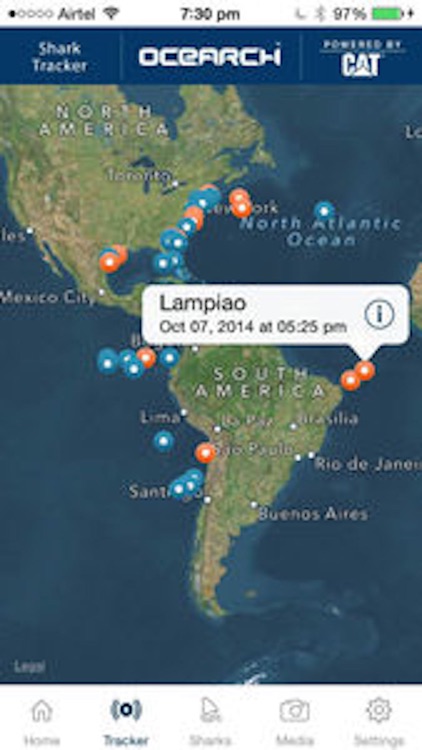 Global Shark Tracker