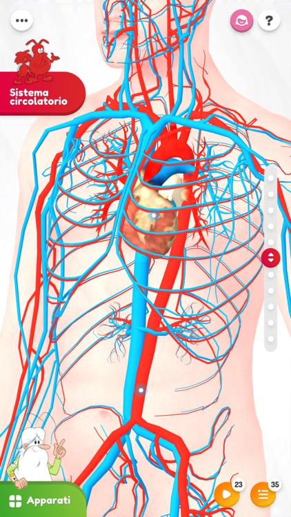 Esplorando il Corpo Umano 3D