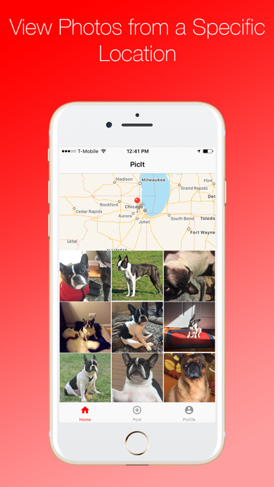 How to cancel & delete PicIt - Location Based Sharing from iphone & ipad 1