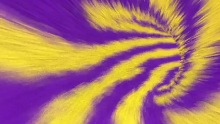 eyeCount School Edition screenshot-9