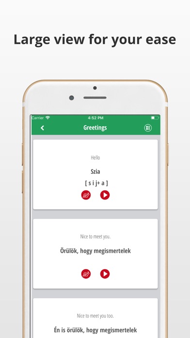 Learn Hungarian Language App screenshot 3