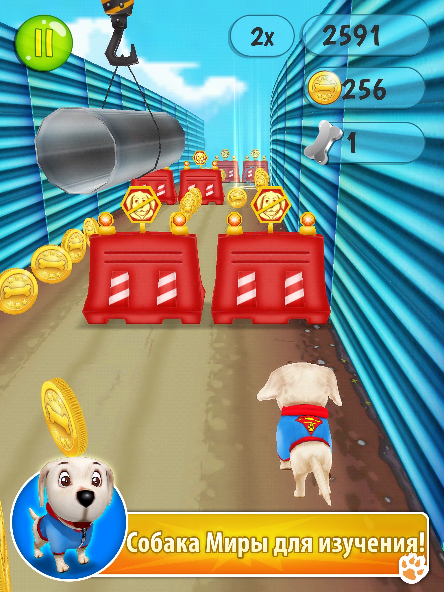 Puppies Out - Endless Runner screenshot 3