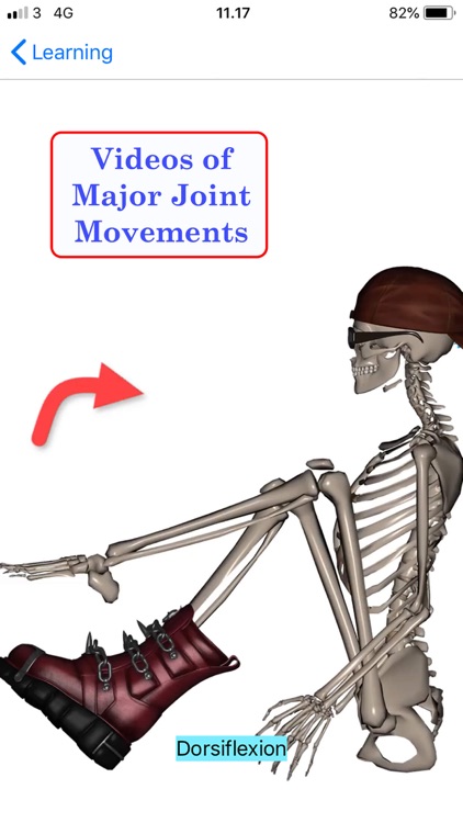 Stus Anatomy Flashcards screenshot-9