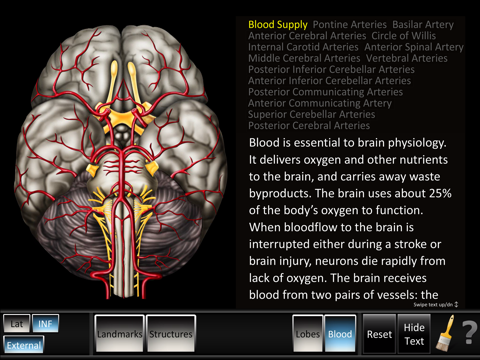 Cerebrum ID screenshot 3