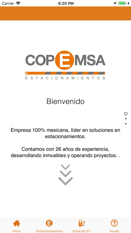 Copemsa screenshot-4