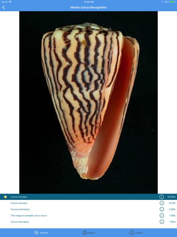 Marine Conus Recognition screenshot 8
