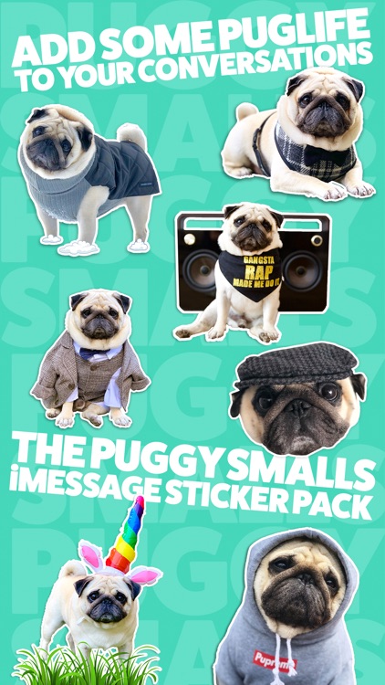 Puggy Smalls Stickers