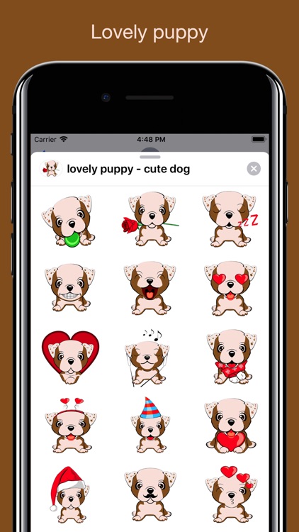 Lovely puppy - Cute dog