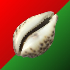 Activities of Cowry Dice