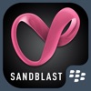 SandBlast Protect - BlackBerry blackberry protect 