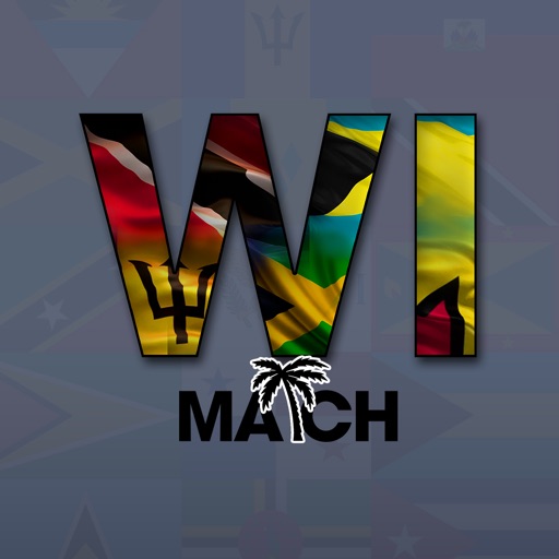 WiMatch – Chat, Meet, Fete Icon