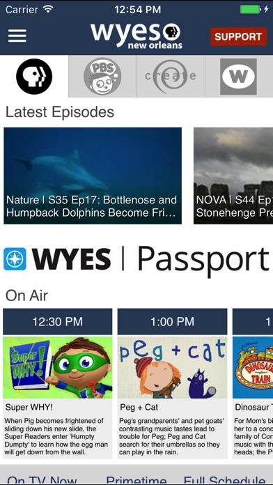 WYES-TV screenshot 2